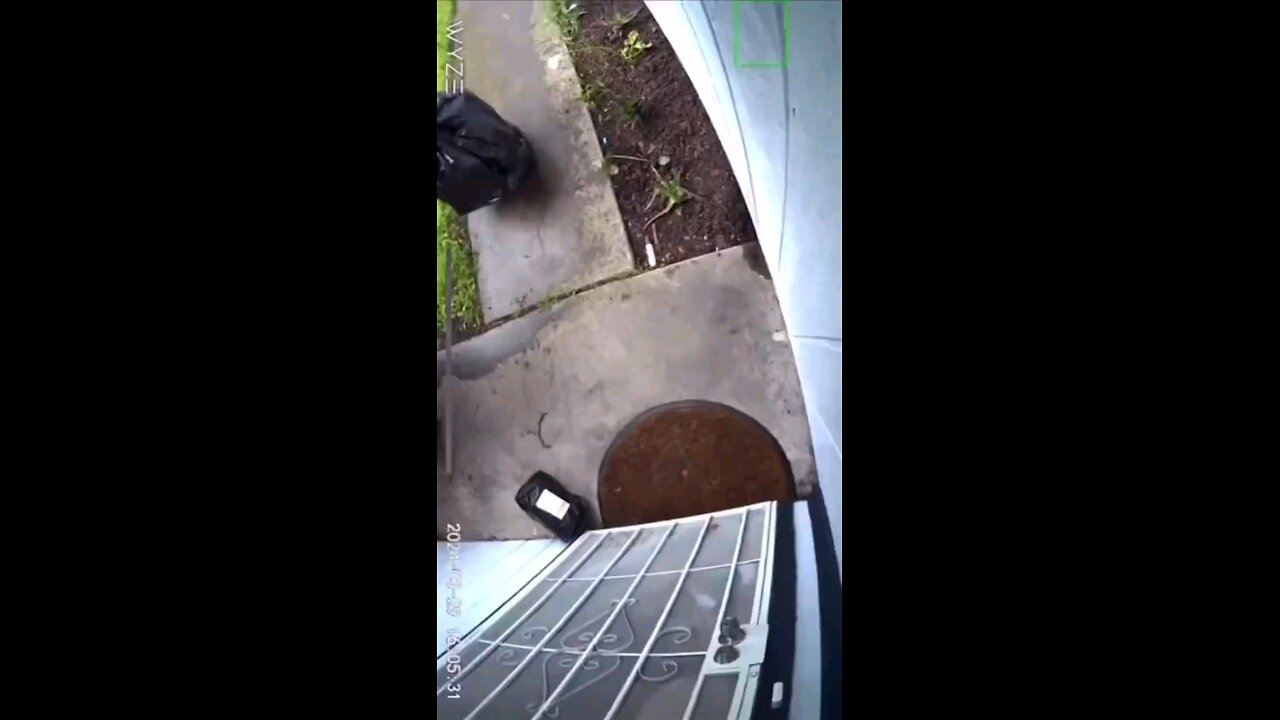 Thief in Socal dressed up in garage bag to steal package from doorstep.