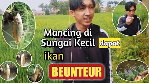 Mancing ikan di sungai kecil