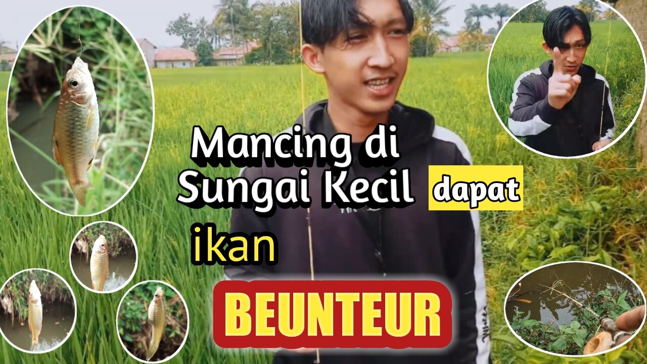 Mancing ikan di sungai kecil