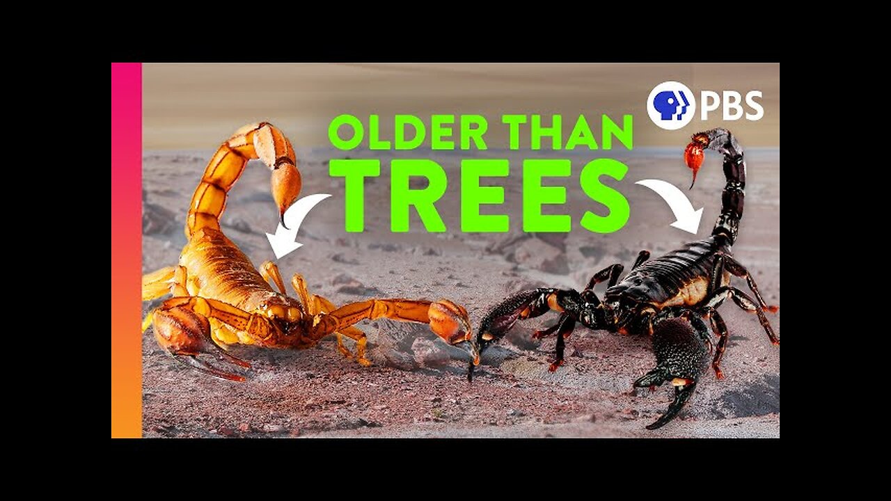 How Scorpions Became Earth’s Ultimate Survivors