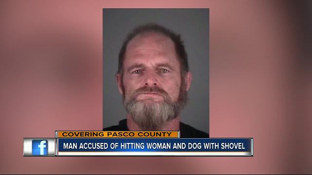 Deputies: Florida man strikes sister, her dog with shovel; dog suffers life-threatening injuries