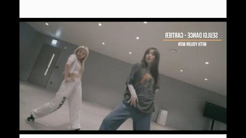 Seulgi Cartier dance cover