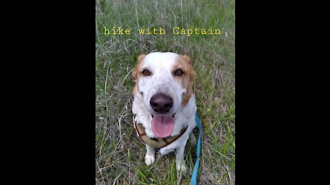 hike with Captain - CNRA medicinal water - hillside springs