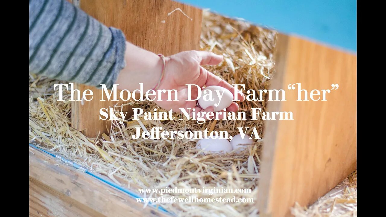 The Woman Homesteader Series | Sky Paint Nigerian Farm