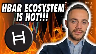 Hedera Hashgraph HBAR Is Growing Rapidly! BIG HBAR NEWS!