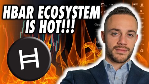 Hedera Hashgraph HBAR Is Growing Rapidly! BIG HBAR NEWS!