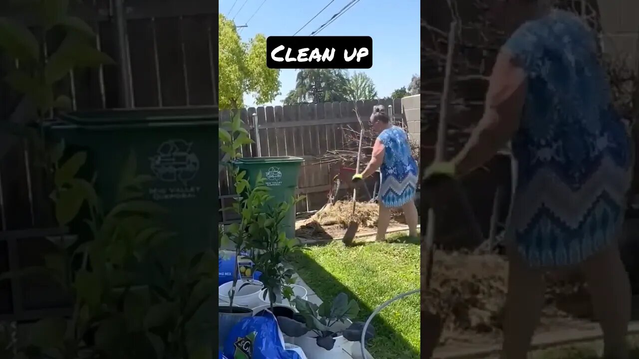 A Day in the Garden can truly be Therapy♥️