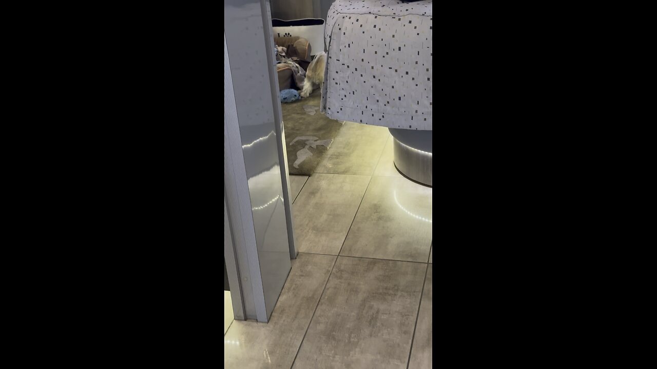Special toy