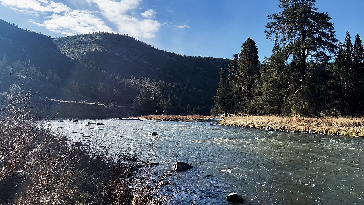 TWO BEAVER ENCOUNTERS on the Shoreline of Lower Crooked River! | BLM | Prineville Central Oregon 4K