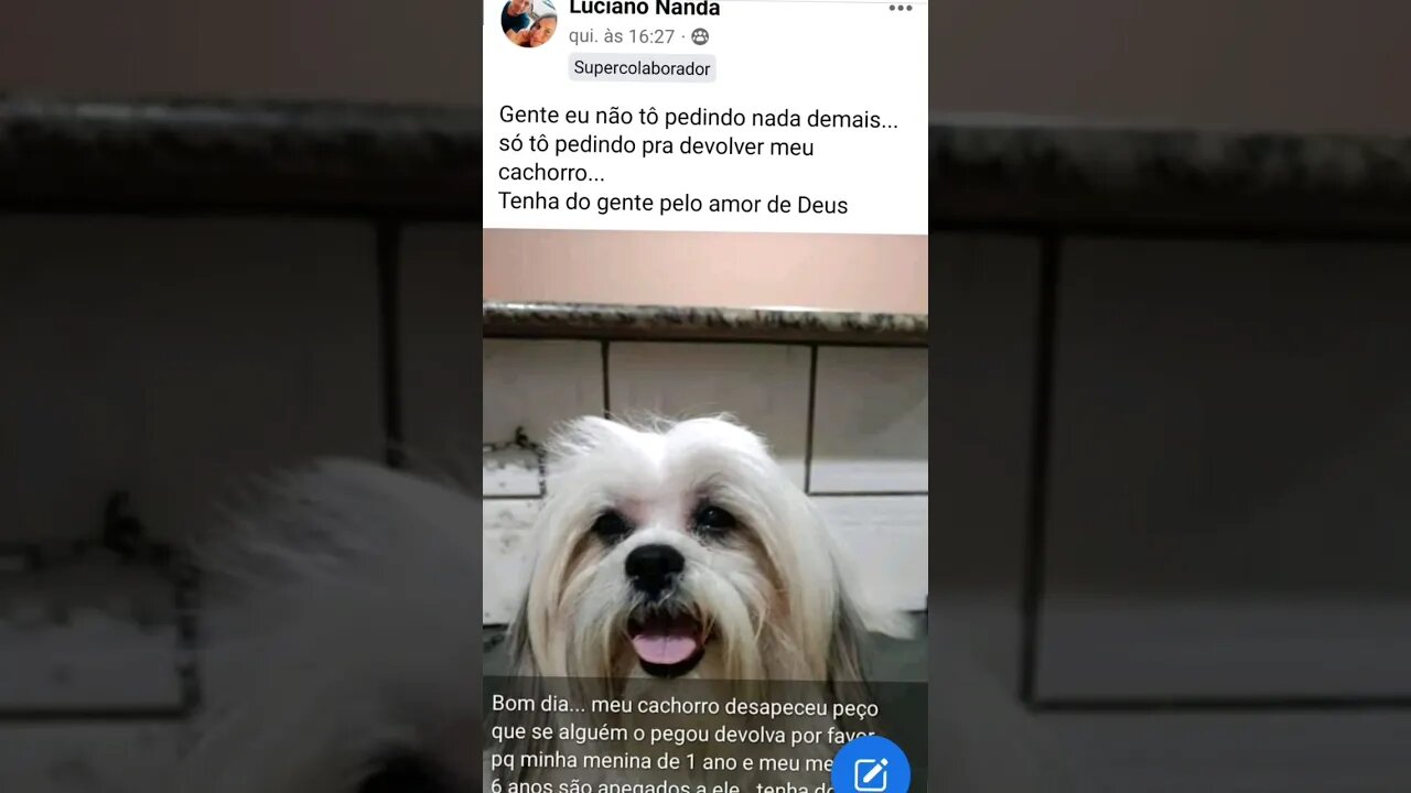por gentileza quem encontrou o Duke em Francisco Sá entre em contato whats +55 38 91536-866