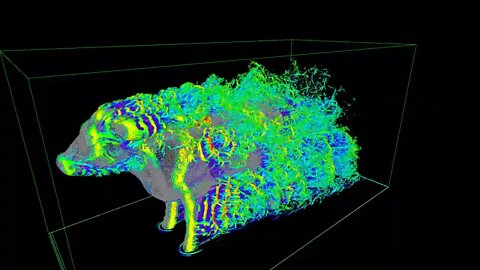 Aerodynamics of a cow