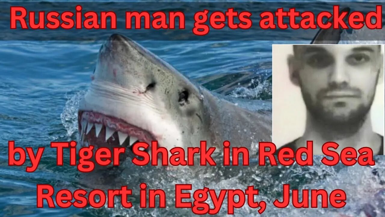 Shark Attack kills Russian Man in Egypt's Red Sea | Hurghada | Tourist | Viral Video #shark