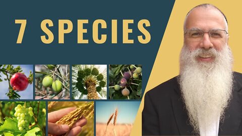 Mishna Bikkurim Chapter 1 Mishnah 3 seven 7 species