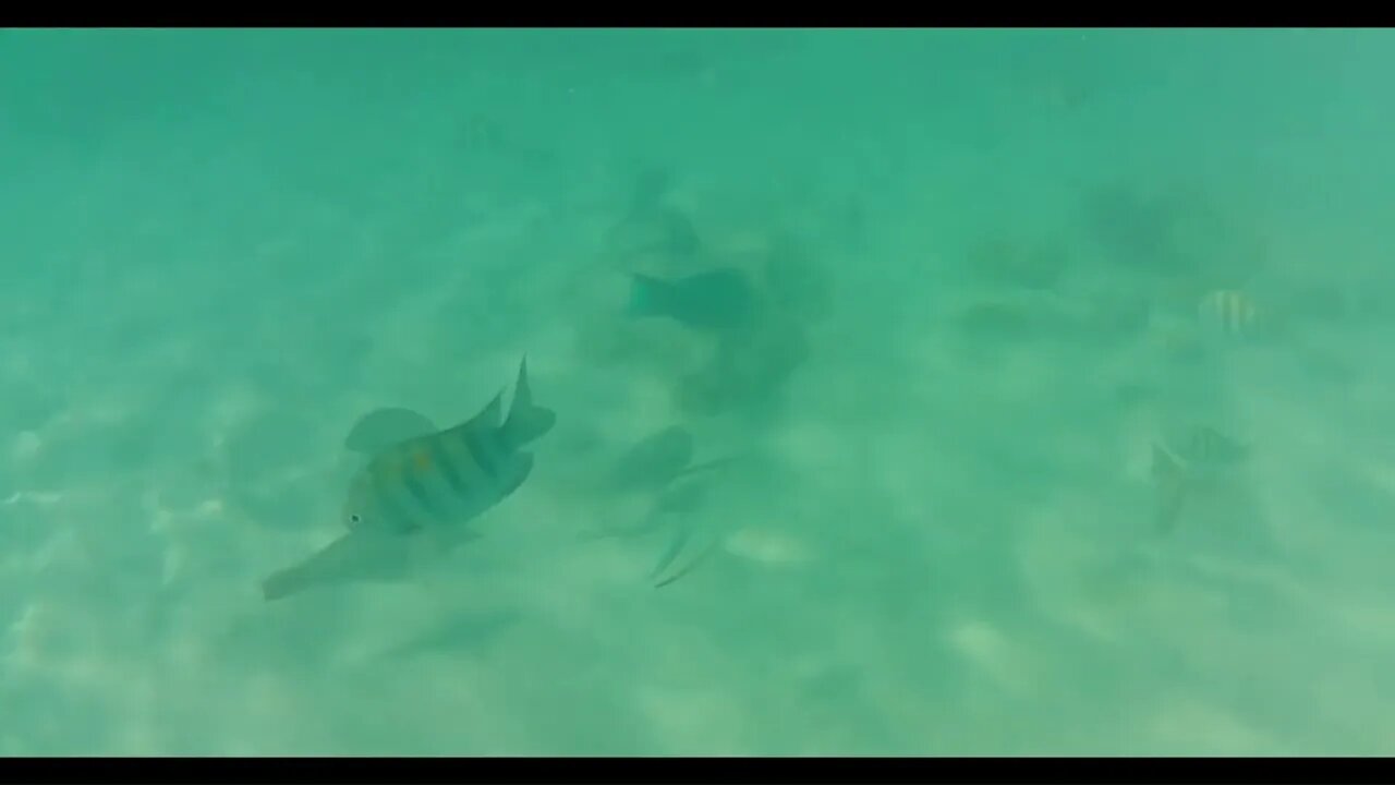 Playa Porto Marie Snorkel