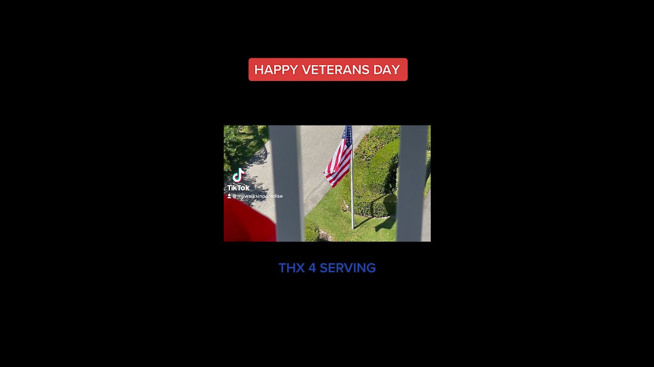 Happy Veterans Day 2021- #4K #FYP #Army #Navy #Marines #AirForce #SpaceForce #VeteransDay