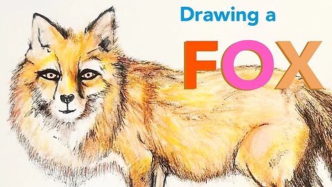 Drawing a Fox - Dibujando un Zorro