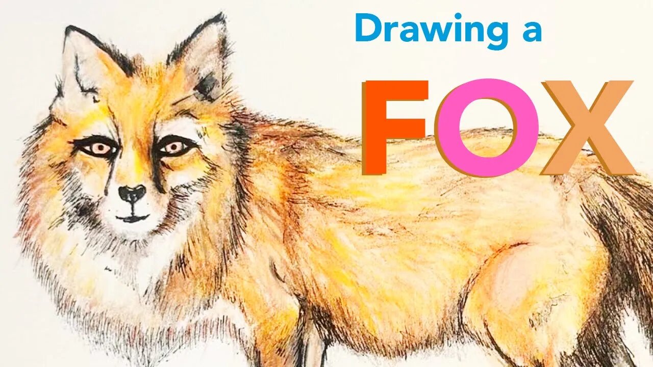 Drawing a Fox - Dibujando un Zorro