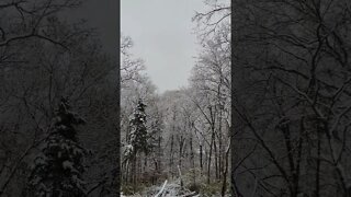 Winter Wonderland #Christmas #snow #winter #holiday #shorts #satisfying #missouri #Santa