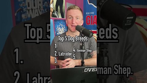 Guessing the Most Popular Dog Breeds of 2022!! Any Surprises? #shorts #dogs #pets #2022 #breeds