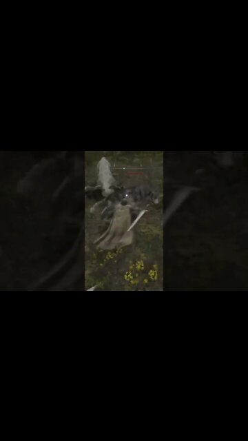 Even the Wolves Are Dangerous in Elden Ring #eldenring