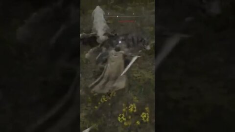 Even the Wolves Are Dangerous in Elden Ring #eldenring