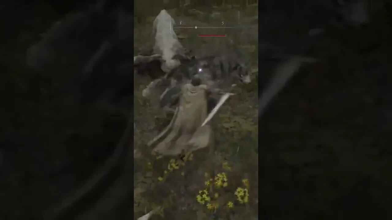 Even the Wolves Are Dangerous in Elden Ring #eldenring