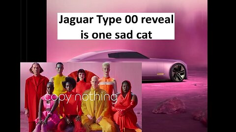 Jaguar Type 00 is one sad cat