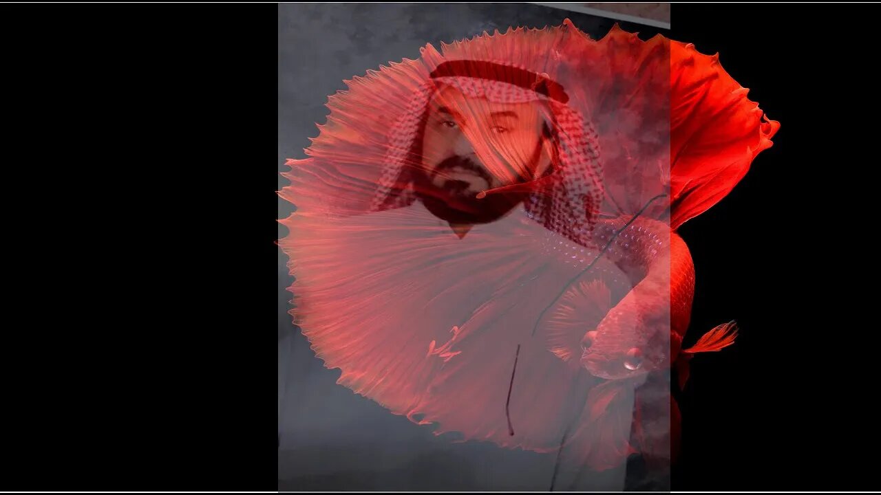 تلاوات خاشعة مبكية@nsrm11