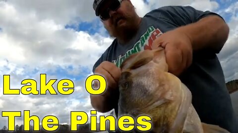 Got Out with Mr Eddie on Lake O The Pines