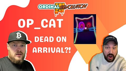 🚨IS BITCOIN'S OP_CAT DEAD ON ARRIVAL? (Bitcoin Builders Race To Programmability!)😺