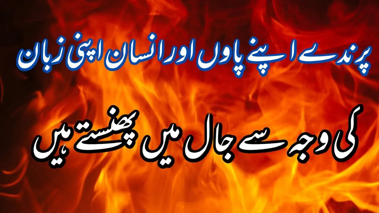 Heart Touching Whatsapp Status Amazing Urdu Quotes Collection Latest New - Aqwal e Zareen