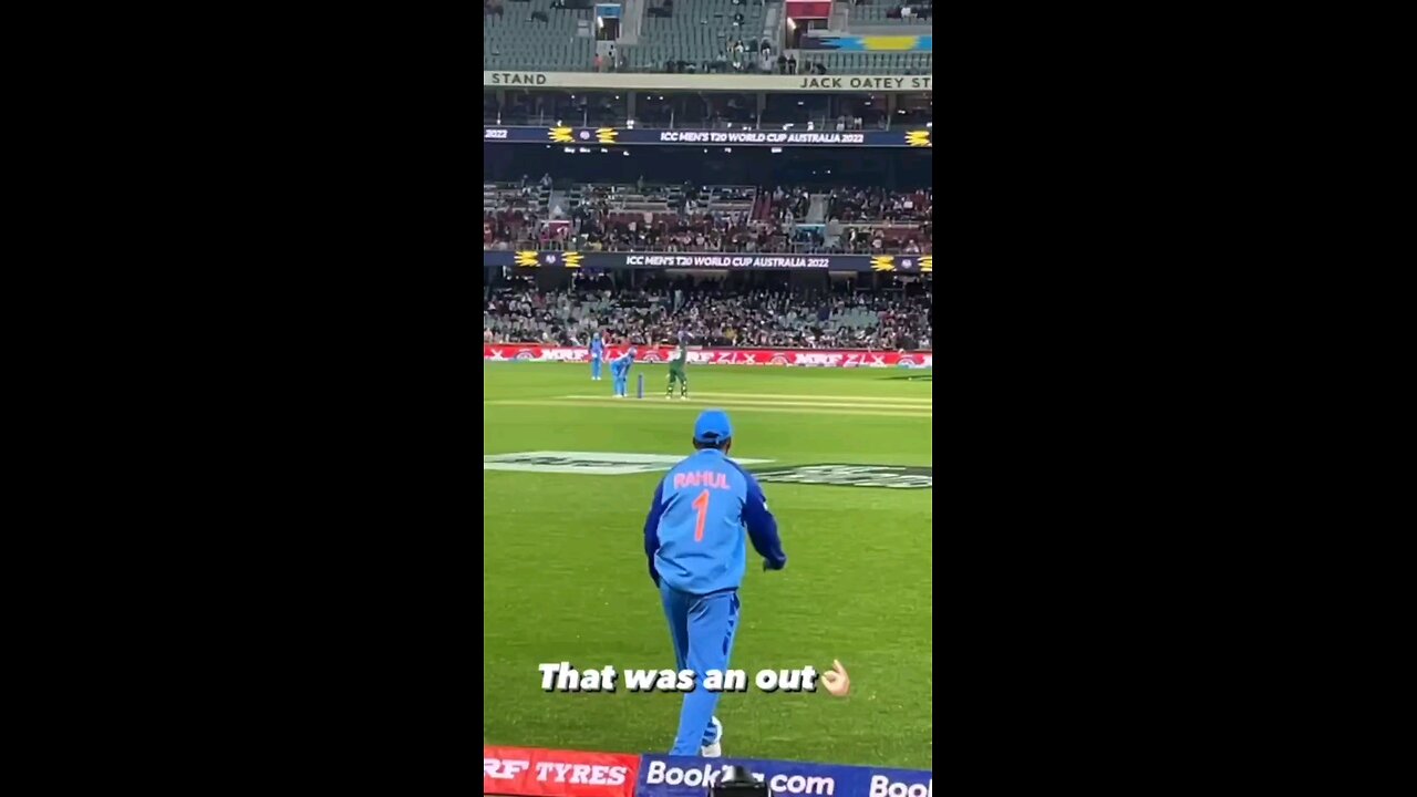 India w australia