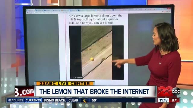 The rolling lemon that broke the internet