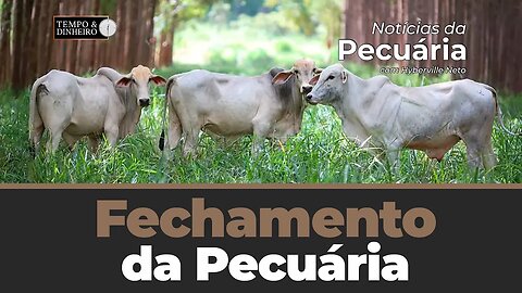 Fechamento da Pecuária