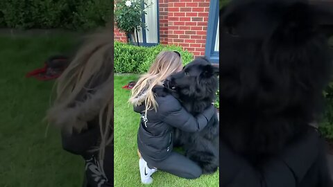 Girl with his black cute dog #petvideos