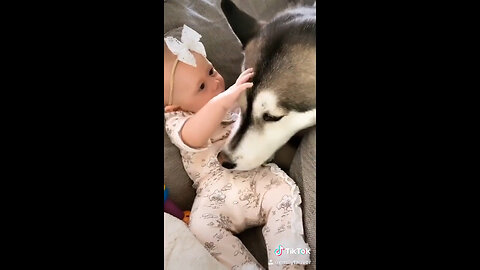 Husky And Baby's Adorable First Year Of Bonding Goes Viral On TikTok