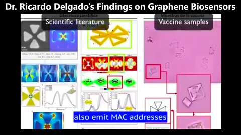 Dr. Ricardo Delgado's Findings of Graphene Routers in the Vaccinated