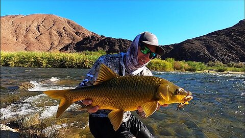 Catching Yellow FISH IN THE ORANGE RIVER! FISHING FOR SMALL MOUTH YELLOW FISH! ORANGE RIVER EJECTS.