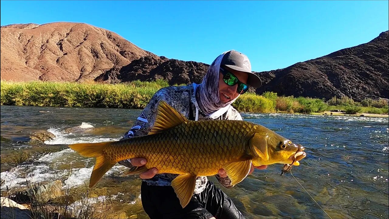 Catching Yellow FISH IN THE ORANGE RIVER! FISHING FOR SMALL MOUTH YELLOW FISH! ORANGE RIVER EJECTS.