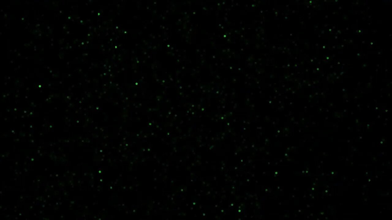 Green Glitter Animation Wallpaper