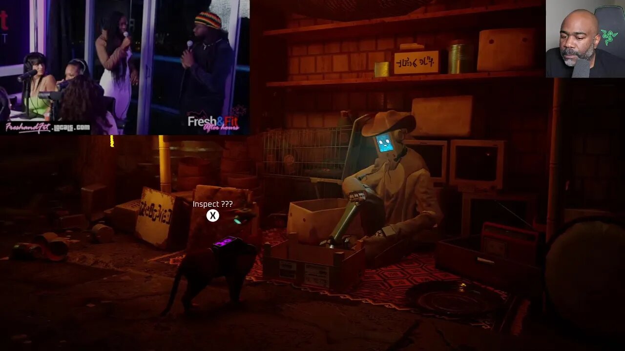 Watching F&F Playing Stray