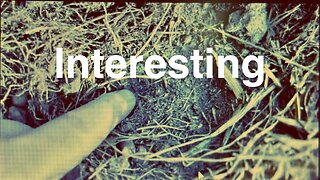 Metal Detecting at The 1820’s Farmhouse/ Southern Virginia Relics