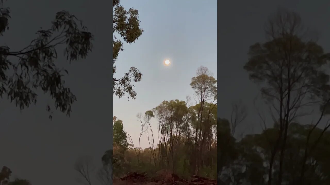 Moonset over Destiny Ridge Homestead #homestead #Offgrid