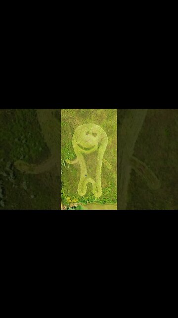 Mowing Art Contest - Who Won?!