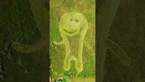 Mowing Art Contest - Who Won?!