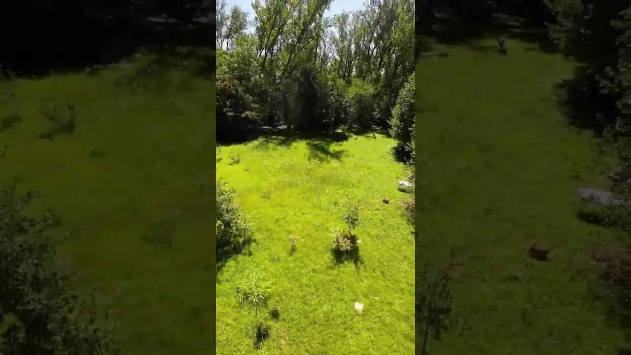 Tanto verde 😎😎😎 #volofpv #cinebot30 #funny #dji