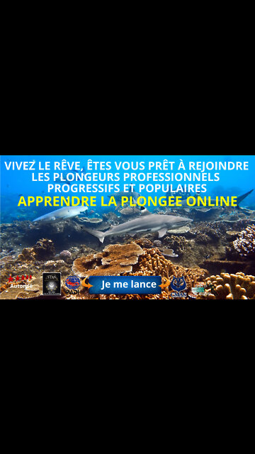 Destination Thaïlande à Pattaya pour apprendre la plongée sous-marine