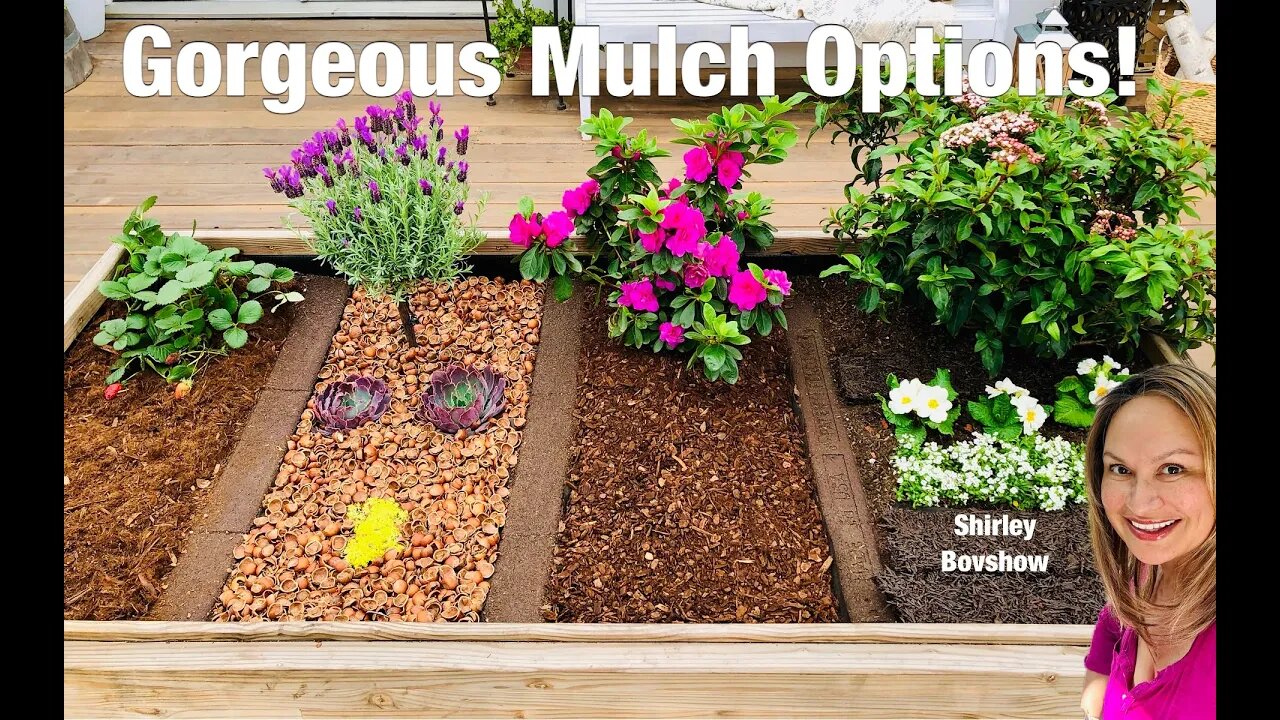 Gorgeous Mulch Options for Garden and Landscapes! (Shirley Bovshow)