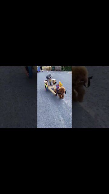 I Took My Oldest Brother Home 🏡