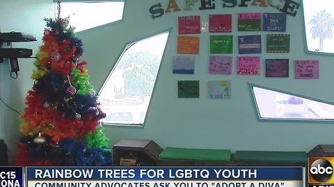 Rainbow trees with tags to help LGBTQ homeless youth